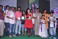 Panchami Audio Function
